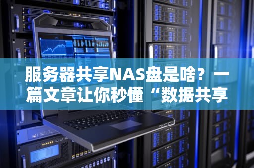 服务器共享NAS盘是啥？一篇文章让你秒懂“数据共享神器”！