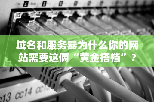 域名和服务器为什么你的网站需要这俩“黄金搭档”？