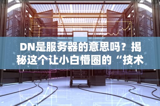 DN是服务器的意思吗？揭秘这个让小白懵圈的“技术黑话”