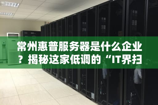常州惠普服务器是什么企业？揭秘这家低调的“IT界扫地僧”
