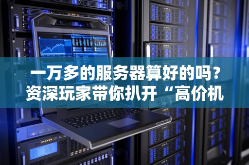 一万多的服务器算好的吗？资深玩家带你扒开“高价机”的底裤！