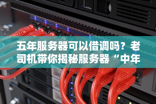 五年服务器可以借调吗？老司机带你揭秘服务器“中年危机”那些事儿！
