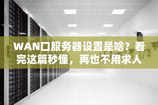 WAN口服务器设置是啥？看完这篇秒懂，再也不用求人啦！