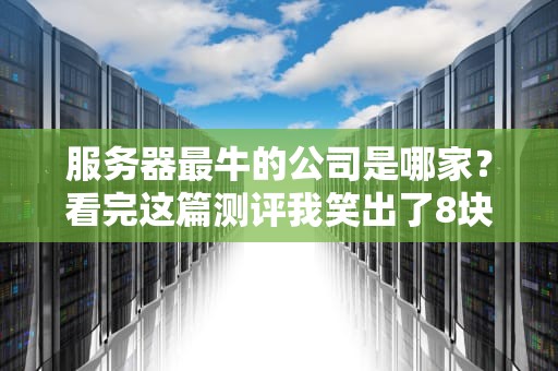 服务器最牛的公司是哪家？看完这篇测评我笑出了8块腹肌！