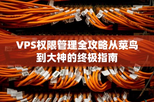 VPS权限管理全攻略从菜鸟到大神的终极指南