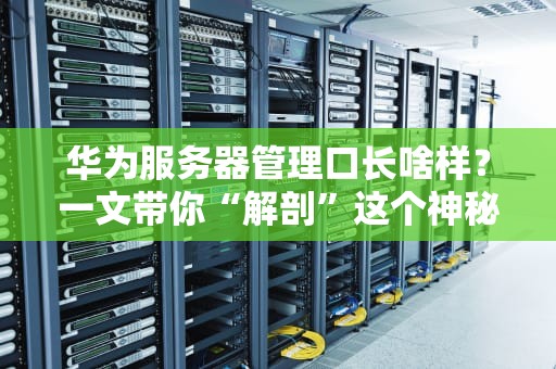 华为服务器管理口长啥样？一文带你“解剖”这个神秘小接口！
