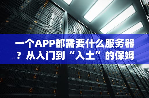 一个APP都需要什么服务器？从入门到“入土”的保姆级解析！