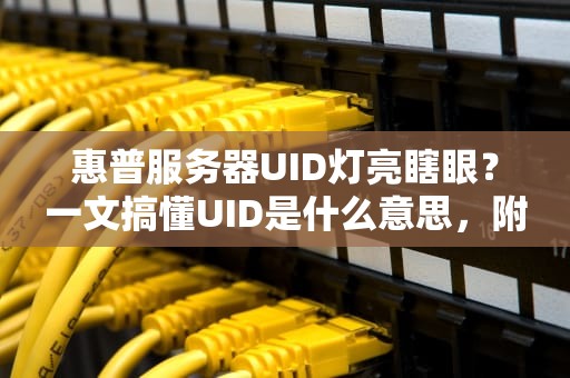 惠普服务器UID灯亮瞎眼？一文搞懂UID是什么意思，附送运维老司机的骚操作！