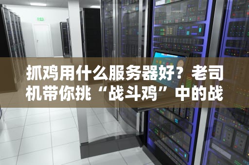 抓鸡用什么服务器好？老司机带你挑“战斗鸡”中的战斗机！