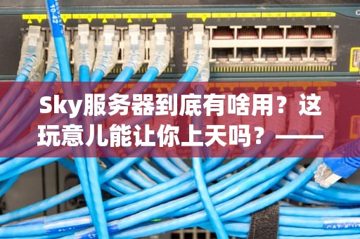 Sky服务器到底有啥用？这玩意儿能让你上天吗？——深度测评+搞笑科普