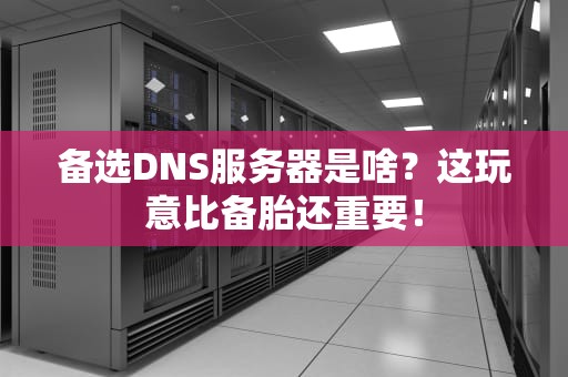 备选DNS服务器是啥？这玩意比备胎还重要！