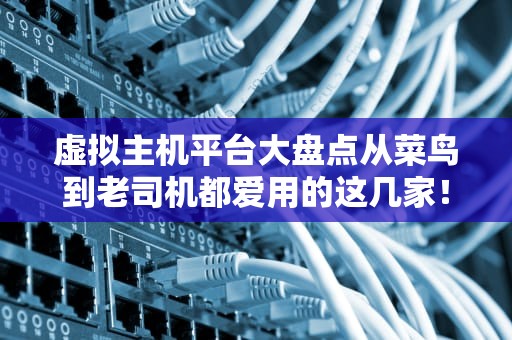 虚拟主机平台大盘点从菜鸟到老司机都爱用的这几家！