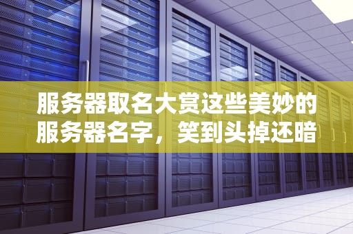 服务器取名大赏这些美妙的服务器名字，笑到头掉还暗藏玄机！