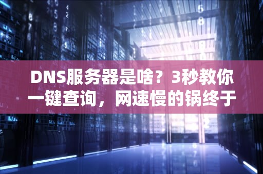 DNS服务器是啥？3秒教你一键查询，网速慢的锅终于找到啦！