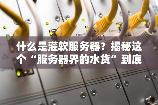 什么是灌软服务器？揭秘这个“服务器界的水货”到底靠不靠谱！