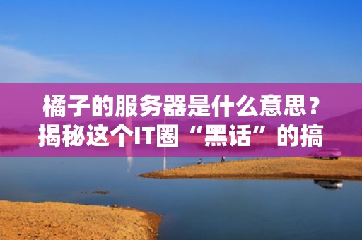 橘子的服务器是什么意思？揭秘这个IT圈“黑话”的搞笑真相！