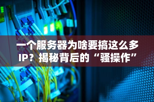 一个服务器为啥要搞这么多IP？揭秘背后的“骚操作”与硬核技术！