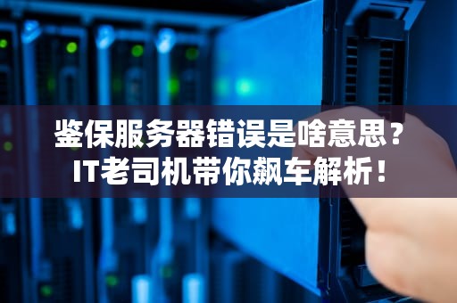 鉴保服务器错误是啥意思？IT老司机带你飙车解析！
