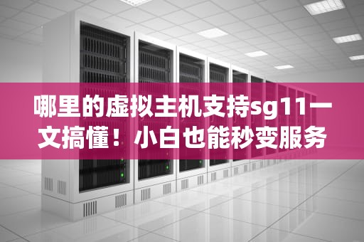 哪里的虚拟主机支持sg11一文搞懂！小白也能秒变服务器老司机