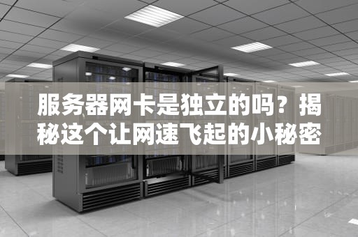 服务器网卡是独立的吗？揭秘这个让网速飞起的小秘密！