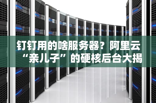 钉钉用的啥服务器？阿里云“亲儿子”的硬核后台大揭秘！