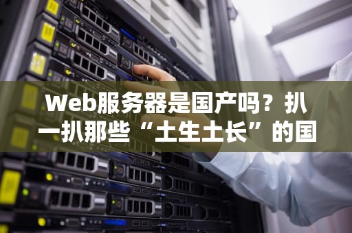 Web服务器是国产吗？扒一扒那些“土生土长”的国产服务器之光！