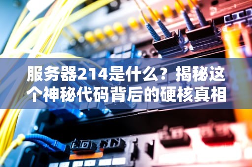 服务器214是什么？揭秘这个神秘代码背后的硬核真相！