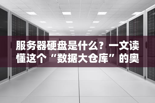 服务器硬盘是什么？一文读懂这个“数据大仓库”的奥秘！