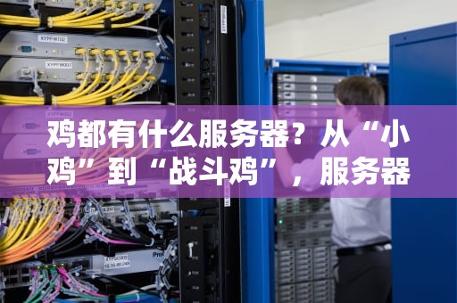 鸡都有什么服务器？从“小鸡”到“战斗鸡”，服务器界的禽类大揭秘！