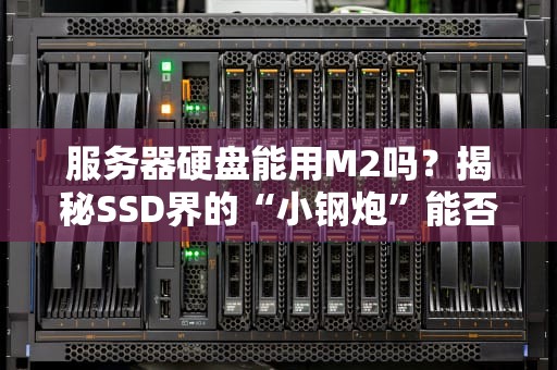 服务器硬盘能用M2吗？揭秘SSD界的“小钢炮”能否扛起企业级大旗！