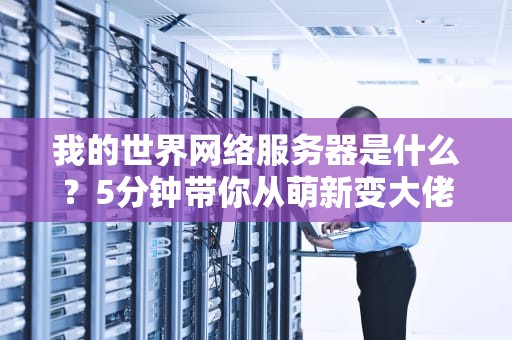 我的世界网络服务器是什么？5分钟带你从萌新变大佬！