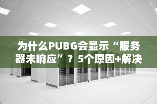 为什么PUBG会显示“服务器未响应”？5个原因+解决方案大揭秘！