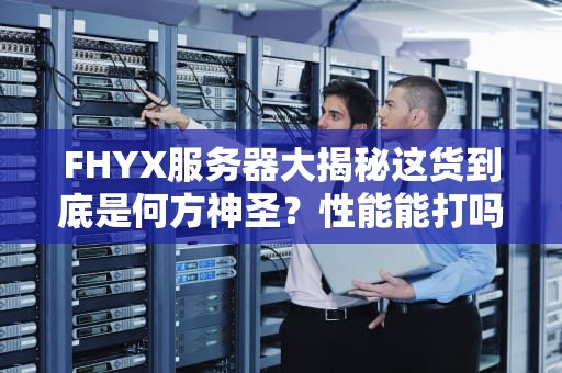 FHYX服务器大揭秘这货到底是何方神圣？性能能打吗？