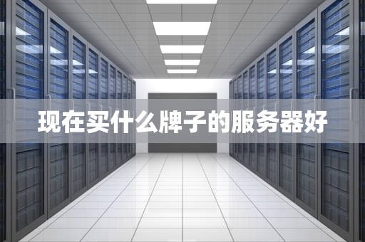 现在买什么牌子的服务器好