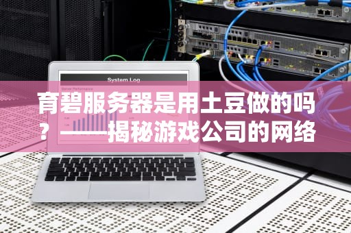 育碧服务器是用土豆做的吗？——揭秘游戏公司的网络玄学