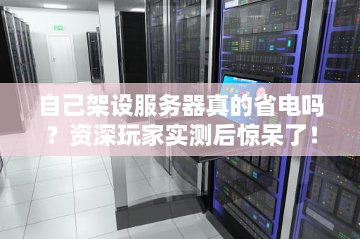 自己架设服务器真的省电吗？资深玩家实测后惊呆了！
