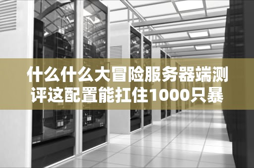 什么什么大冒险服务器端测评这配置能扛住1000只暴躁皮卡丘吗？