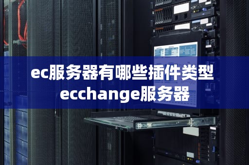 ec服务器有哪些插件类型 ecchange服务器