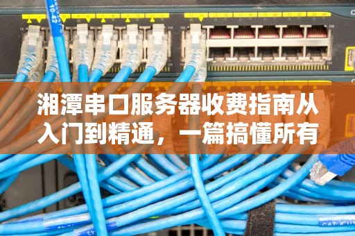 湘潭串口服务器收费指南从入门到精通，一篇搞懂所有门道！