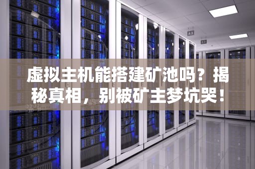 虚拟主机能搭建矿池吗？揭秘真相，别被矿主梦坑哭！