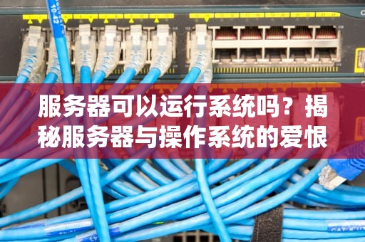 服务器可以运行系统吗？揭秘服务器与操作系统的爱恨情仇！