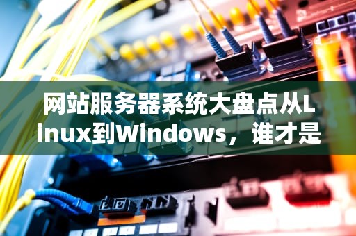 网站服务器系统大盘点从Linux到Windows，谁才是你的“真命天子”？