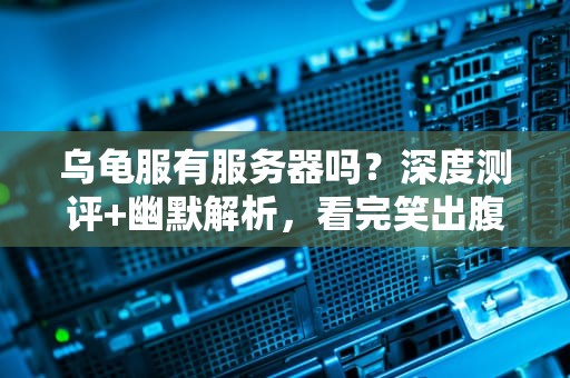 乌龟服有服务器吗？深度测评+幽默解析，看完笑出腹肌！