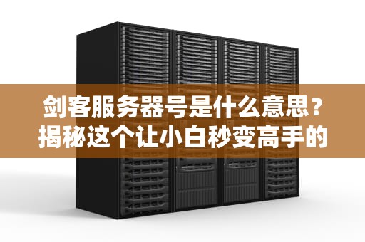 剑客服务器号是什么意思？揭秘这个让小白秒变高手的“黑话”