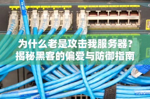 为什么老是攻击我服务器？揭秘黑客的偏爱与防御指南
