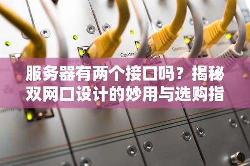 服务器有两个接口吗？揭秘双网口设计的妙用与选购指南！