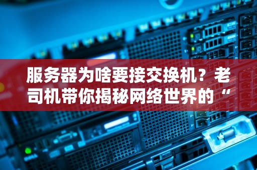 服务器为啥要接交换机？老司机带你揭秘网络世界的“红娘”