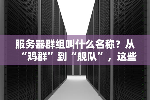 服务器群组叫什么名称？从“鸡群”到“舰队”，这些专业术语让你秒变IT老司机！
