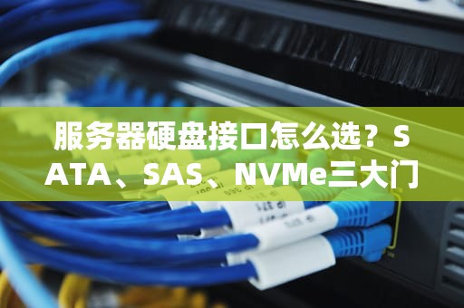 服务器硬盘接口怎么选？SATA、SAS、NVMe三大门派比武大会