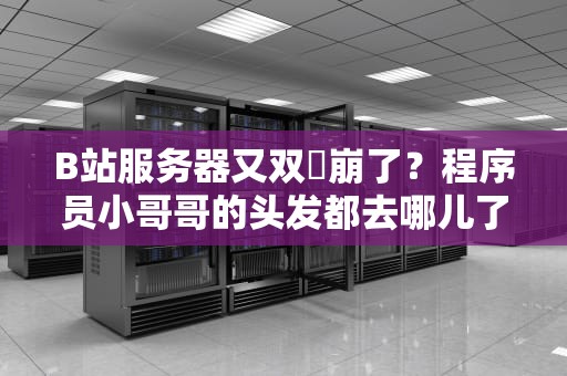 B站服务器又双叒崩了？程序员小哥哥的头发都去哪儿了！